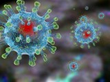 a45cda0-virus8.jpeg