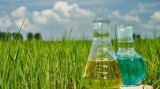 00