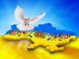 1421309302_560336_ukraina_golub_mir_uzor_2560x1600